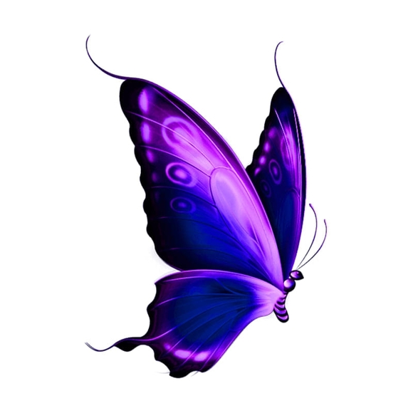 Meet your Posher, Bernice - Picture 1 of 1